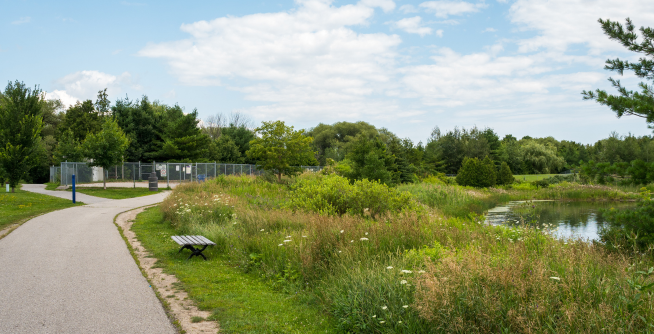 Leash Free Dog Park - Stouffville